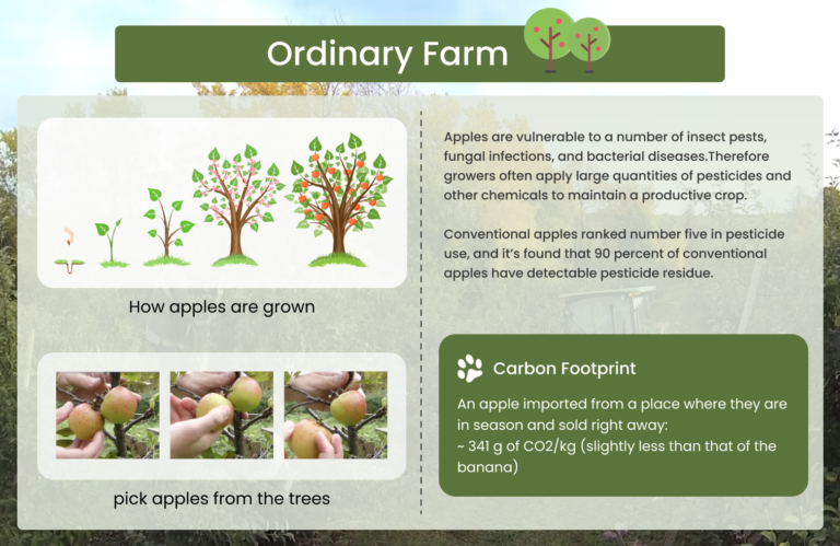 ordinary farm