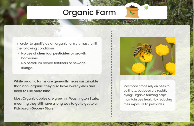 organic farm