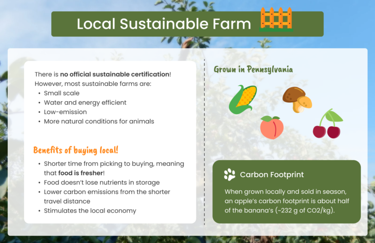 local sustainable farm