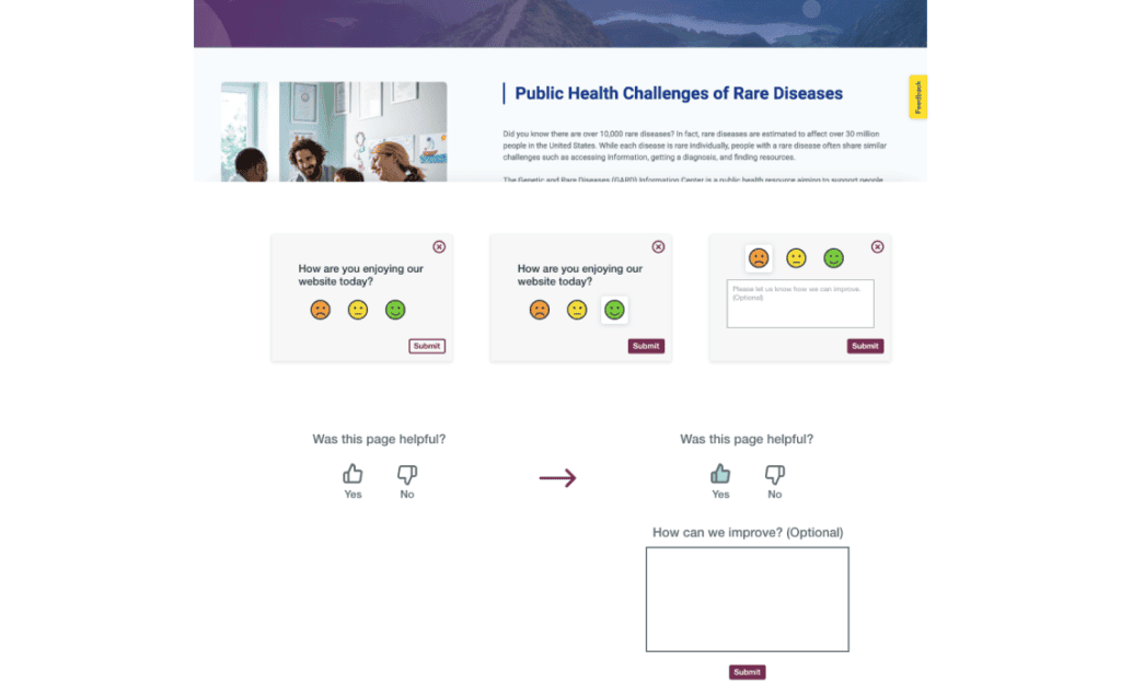 Design ideas offered in the proposal report