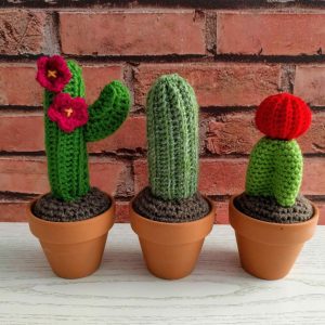 Cacti crochet